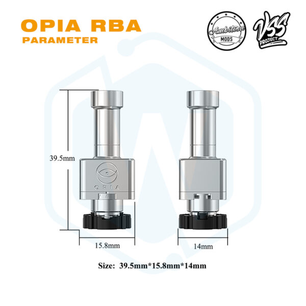 2 Authentic Ambition mods OPIA RBA for Boro